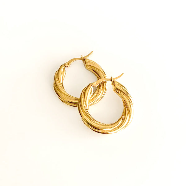 Twisted Hoop  Earrings - Vanhess
